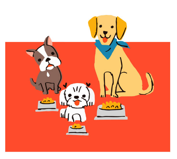 Three pets sitting in front of food animal, pet year of the dog stock illustrations