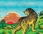 istock Tiger Watching the Rising Sun 1328222795