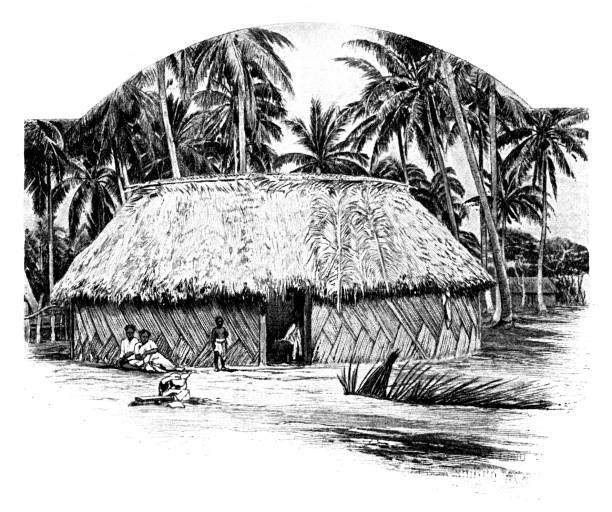 дом тонга - tonga stock illustrations