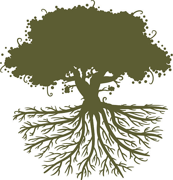 Image result for tree with deep roots