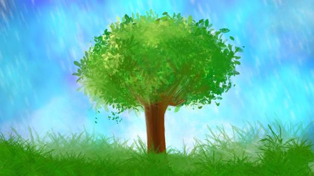 illustrations, cliparts, dessins animés et icônes de un arbre avec le ciel bleu et la cour verte - pluie jardin