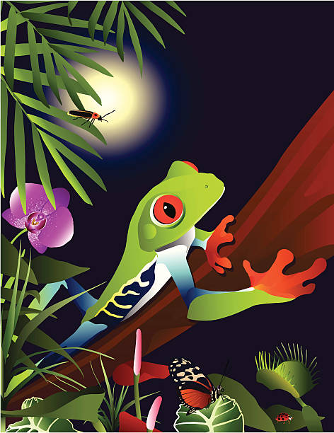 Tropical Adventure vector art illustration