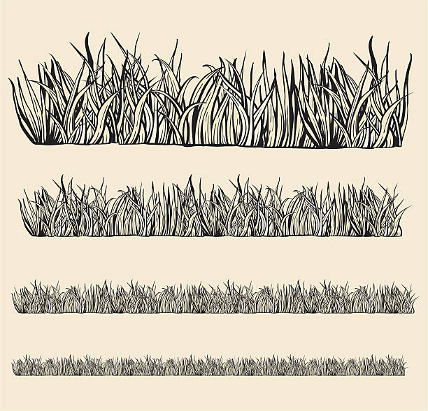 Variable grass modules. Variable grass modules. Drawing grass drawings stock illustrations
