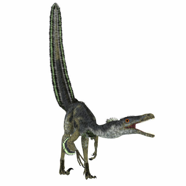 Download Royalty Free Velociraptor Clip Art, Vector Images ...