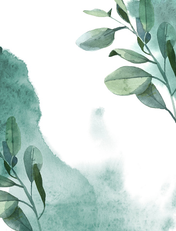 background paint vertical leaves eucalyptus splash illustration tree