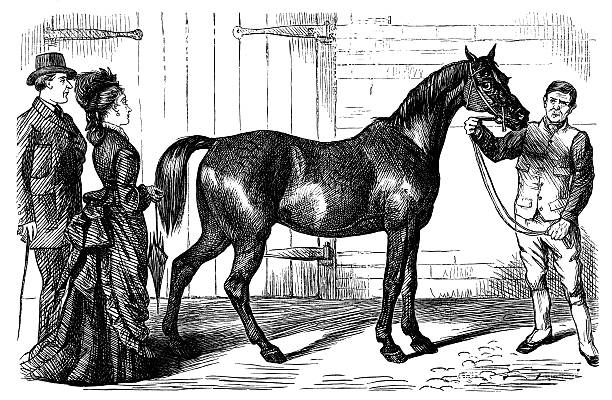 bildbanksillustrationer, clip art samt tecknat material och ikoner med victorian couple buying a horse - working stable horses