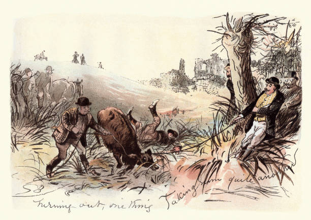 stockillustraties, clipart, cartoons en iconen met victoriaanse jagers enclountering een koe - falling star