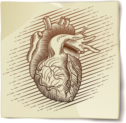 Vintage Heart Sketch on Paper