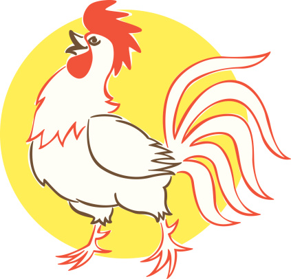 vintage style rooster illustration