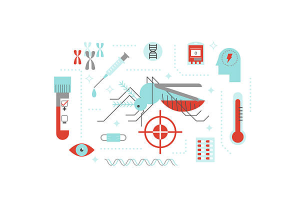 stockillustraties, clipart, cartoons en iconen met virus or disease transmitted by mosquito illustration concept - malaria