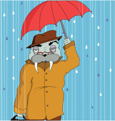 walrus businessman in rain