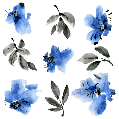 Watercolor And Ink Illustratration Of Blue Flowers With Leaves Set On ...
