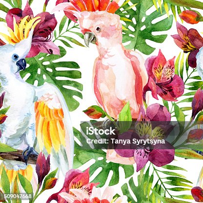 istock watercolor Australian Cockatoo seamless pattern 509047668