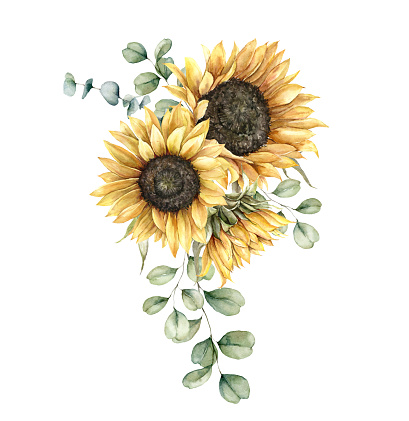 Watercolor autumn bouquet with sunflowers and silver dollar eucalyptus branches. Hand painted rustic card isolated on white background. Floral illustration for design, print, fabric or background