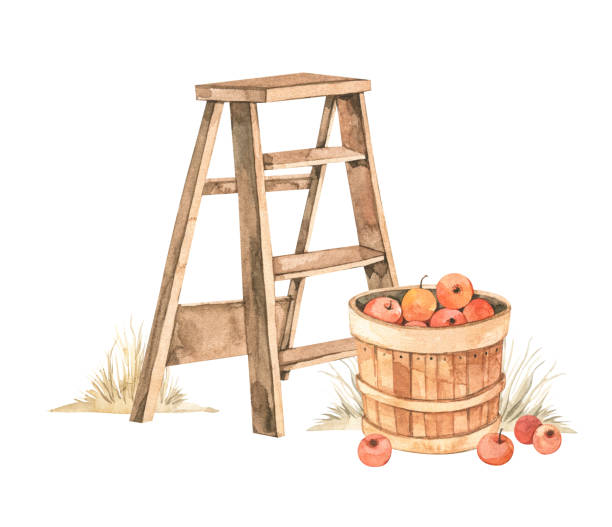 bildbanksillustrationer, clip art samt tecknat material och ikoner med watercolor autumn harvest illustrations with apple basket and yellow grass. fall elements. farm. perfect for invitations, greeting cards, posters, prints, social media - cooking step by step