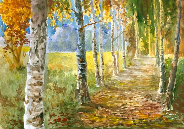 A watercolor drawing of a path flanked by fall birches Autumn solar day, path through park. Watercolour painting, created and painted by the photographer nature path stock illustrations
