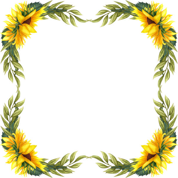 Clip Art Of A Sunflower Borders Illustrations, Royalty ...
