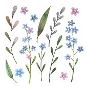 istock Watercolor forget-me-not flowers set. 1247208302