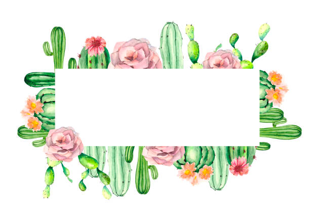 Watercolor frame with green cacti and pink flowers on a white background with space for text. Bright colorful drawing for postcards, posters and business cards, stationery and advertising design. Watercolor frame with green cacti and pink flowers on a white background with space for text. Bright colorful drawing for postcards, posters and business cards, stationery and advertising design. cactus borders stock illustrations