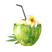 istock Watercolor green coconut with leaves and frangipani tropical flower, with a straw, isolated on white background. Hand drawn food illustration. 1282431179