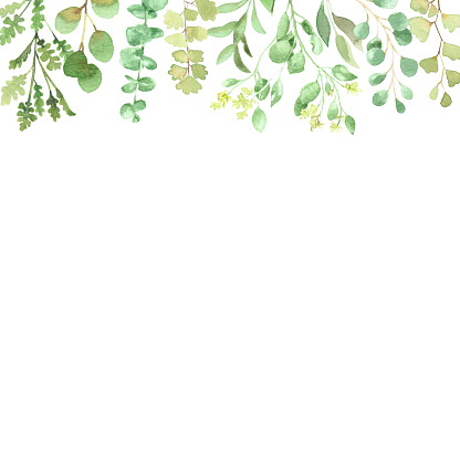 Watercolor Greenery Floral Drop Frame Background Stock Watercolor Greenery Floral Drop Frame Background Stock