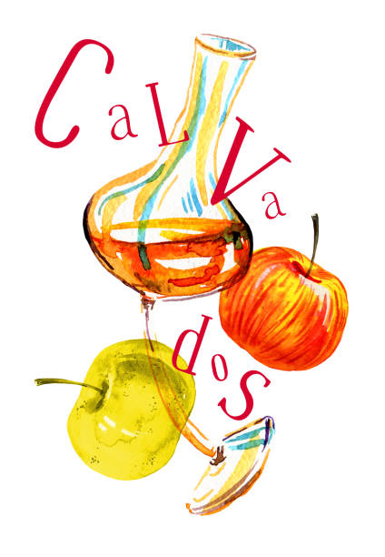 Watercolor hand drawn expressive illustration with glass of calvados and apples Watercolor hand drawn expressive illustration with glass of calvados, title and apples isolated on white background calvados stock illustrations
