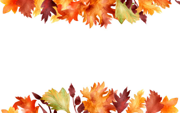 Watercolor hand painted autumn banner frame with different yellow, red, orange and maroon leaves and branches for invitations and greeting cards with the space for text Watercolor hand painted autumn banner frame with different yellow, red, orange and maroon leaves and branches for invitations and greeting cards with the space for text leaving stock illustrations