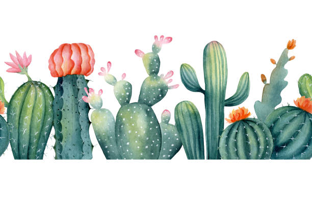 Watercolor hand painted seamless border of cactus with pink flower. Clipart illustration of houseplant succulent for design background, web template, digital paper, home decor, botanical print. Watercolor hand painted seamless border of cactus with pink flower. Clipart illustration of houseplant succulent for design background, web template, digital paper, home decor, botanical print. cactus borders stock illustrations