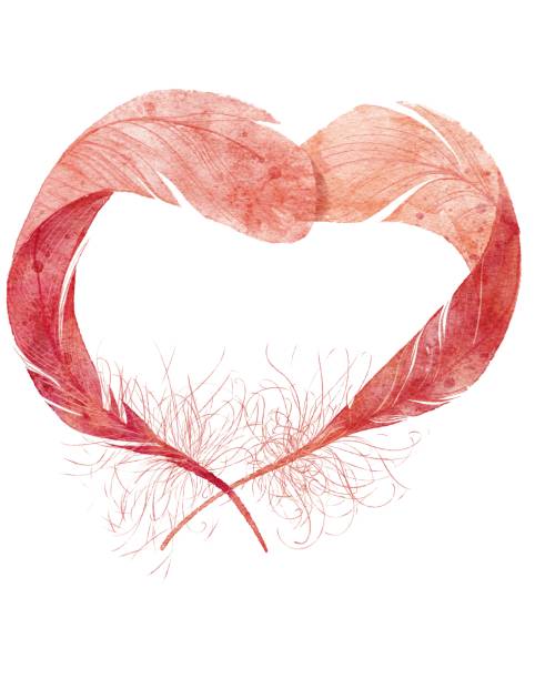 Watercolor heart shape two pink romantic feathers vector art illustration