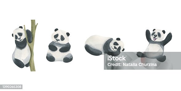 istock Watercolor illustration of a set of panda bears. Cheerful, calm, sleeping, crawling on a tree. Cartoon characters for children's and fairy-tale decorations. Cute animals for illustration design 1390265308