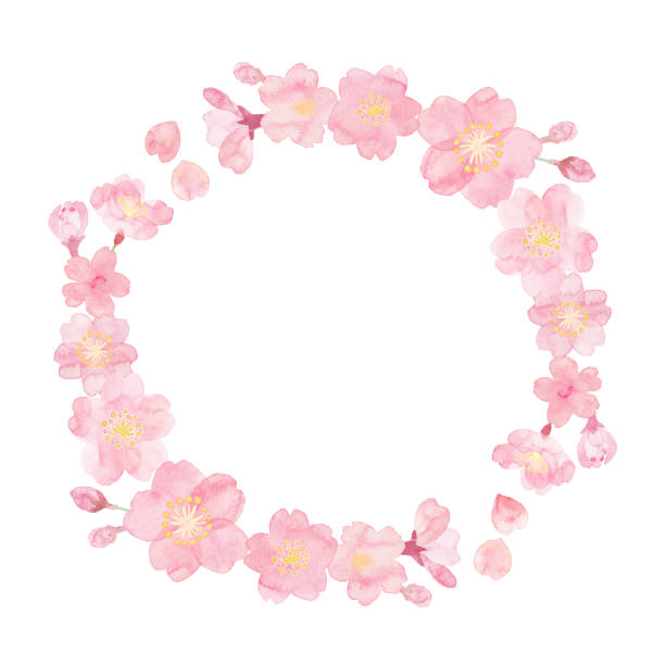 手描きの桜の水彩画 - 桜点のイラスト素材／クリップアート素材／マンガ素材／アイコン素材