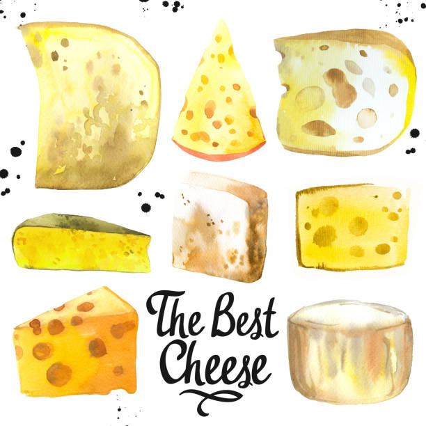 Watercolor illustration with different noble cheeses: camembert, gouda, parmesan, blue, edammer, maasdam, brie, roquefort. Snack bar. Farm dairy illustrations. Fresh organic food Watercolor illustration with different noble cheeses: camembert, gouda, parmesan, blue, edammer, maasdam, brie, roquefort. Snack bar. Farm dairy illustrations. Fresh organic food. parmesan cheese illustrations stock illustrations