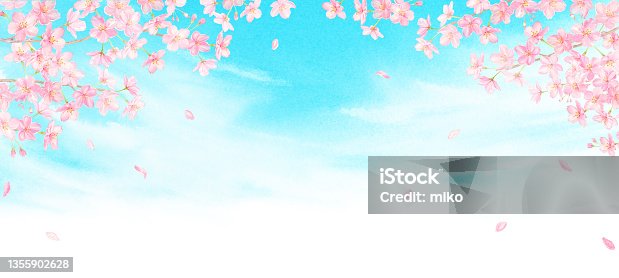 istock Watercolor illustratuon of cherry blossoms in the sky 1355902628