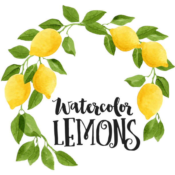 Best Lemon Tree Illustrations, Royalty-Free Vector Graphics & Clip Art ...