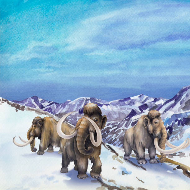 Watercolor mammoths walking in a snowy mountain landscape Watercolor mammoths walking in a snowy mountain landscape. Hand painted illustration of the Ice Age mastodon animal stock illustrations