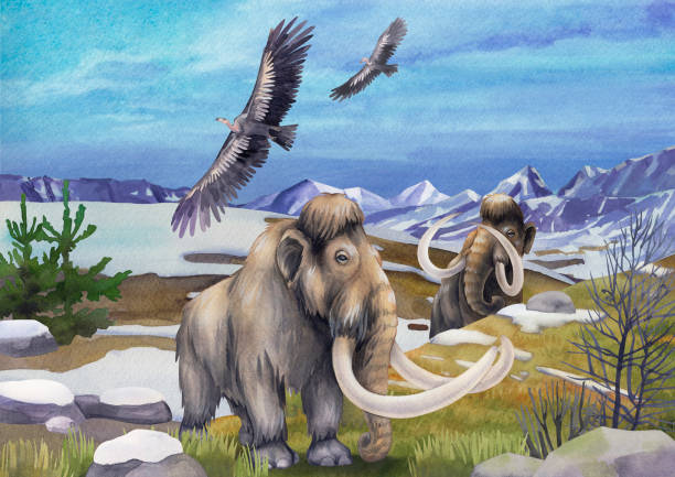 Watercolor mammoths walking in a snowy mountain landscape Watercolor mammoths walking in a snowy mountain landscape with two teratorns flying in the sky above their heads. Hand painted illustration of the Ice Age mastodon animal stock illustrations