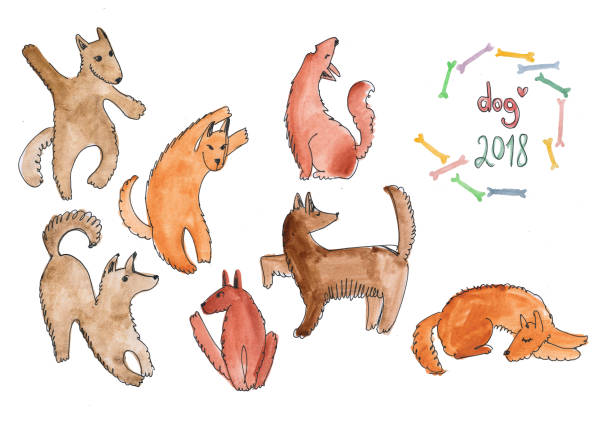 illustrazioni stock, clip art, cartoni animati e icone di tendenza di pittura ad acquerello, un gruppo di cani, il cane - simbolo del 2018 - capo sounion