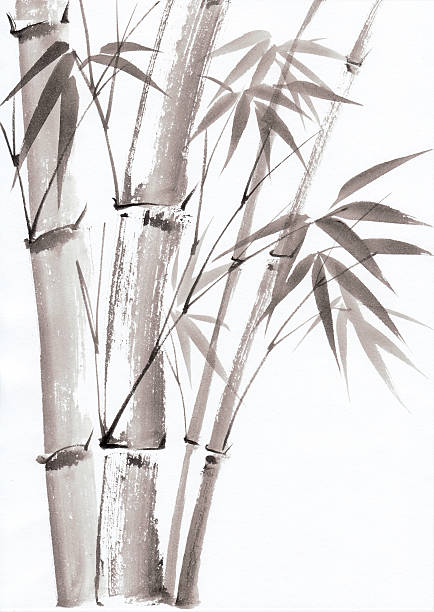 Watercolor painting of bamboo vector art illustration