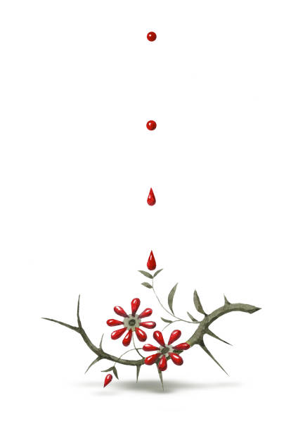 Watercolor painting of blood-blooming thornbush illustration vector art illustration