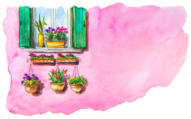 illustrazioni stock, clip art, cartoni animati e icone di tendenza di pittura ad acquerello di finestra con fiori sulla facciata rosa. - burano