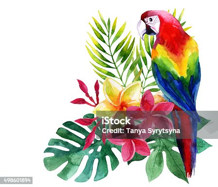 istock Watercolor parrot with exotic flowers and leaves 498601894