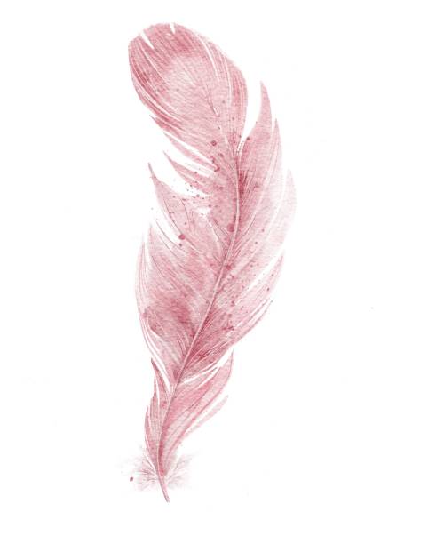 Watercolor pink feather vector art illustration
