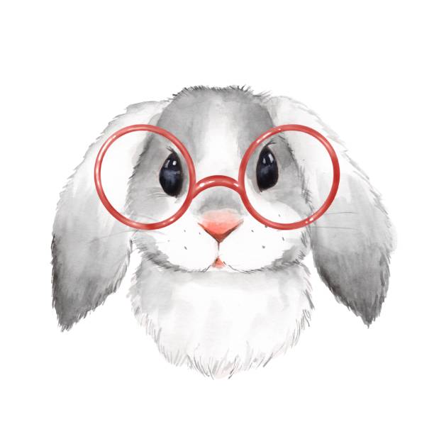 Watercolor portrait cute rabbit with glasses Little bunny with glasses. Cute watercolor illustration rabbit animal stock illustrations