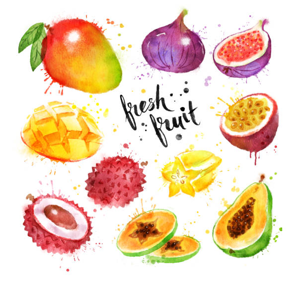 ilustrações de stock, clip art, desenhos animados e ícones de watercolor set of tropical fruit - granadilla