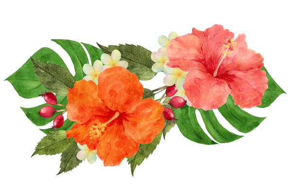Free Flower Watercolor Paint Watercolor Painting Pictures Royalty Free Freeimages