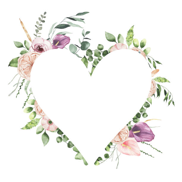 ilustraciones, imágenes clip art, dibujos animados e iconos de stock de acuarela valentines day marco de corazón floral con calla lirio rosa hojas aisladas - alcaraz