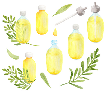 Download Watercolor Yellow Essential Oil In Glass Dropper Bottles With Green Eucalyptus Branches Hand Drawn Aromatherapy Spa Yellowimages Mockups