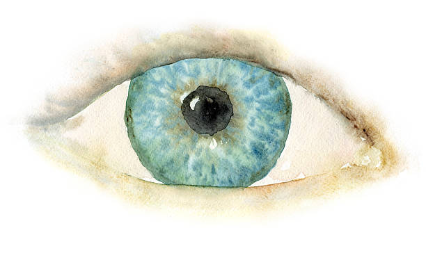 Watercolour blue eye "Watercolour painting, blue eye on a white background.  My own artwork." eye clipart stock illustrations
