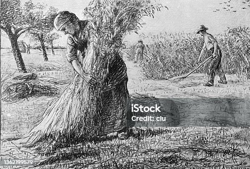 istock Wheat harvest, the reapers 1362199579