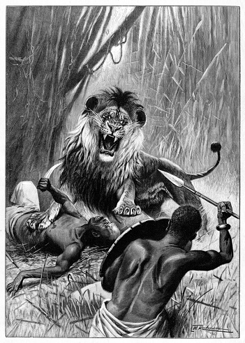 Wild lion attacking african hunters in jungle 1896
Original edition from my own archives
Source : 